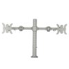 LCD Monitor Arm (Double Monitor) - Flange (DSM-EV2-F)